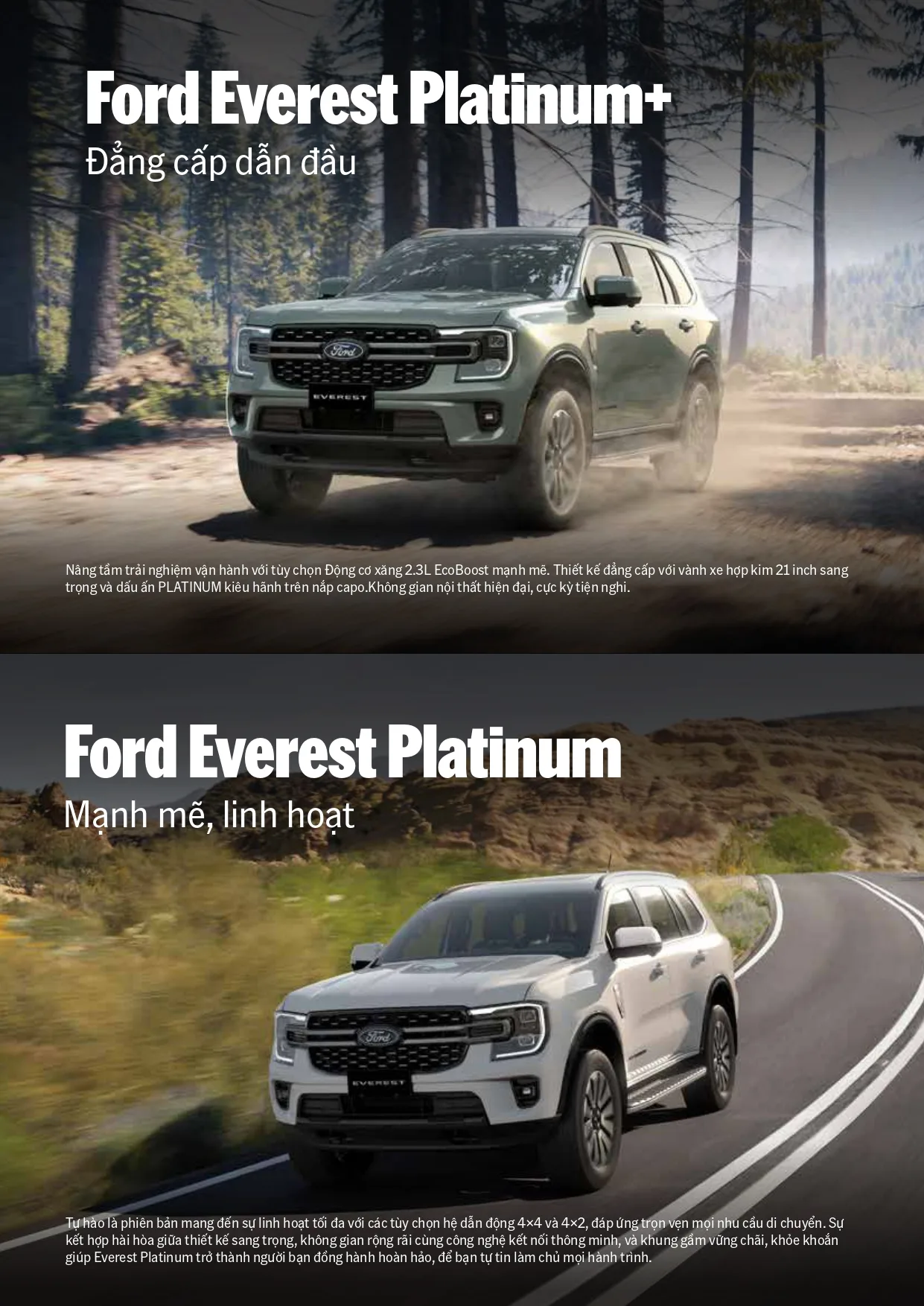 Ford Everest 2