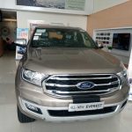 Ford Everest 2019 Ghi Vàng